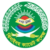 College 2 Logo